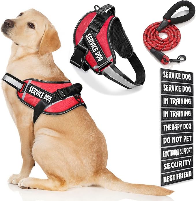 Service Dog Vest, 9 Dog Patches No Pull Dog Harness and Leash Set with Handle,Easy On and Off Pet Vest Harness with Night Safe Reflective Straps for Small Medium Large Breed Dogs