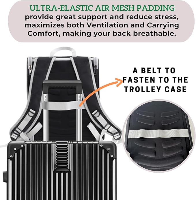 Lollimeow Cat Backpack Carrier, Ideal for Small Animals & Puppies, Outdoor Adventures, Vet Transport. Fully Ventilated Design for Ultimate Comfort On-The-Go