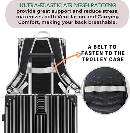 Lollimeow Cat Backpack Carrier, Ideal for Small Animals & Puppies, Outdoor Adventures, Vet Transport. Fully Ventilated Design for Ultimate Comfort On-The-Go