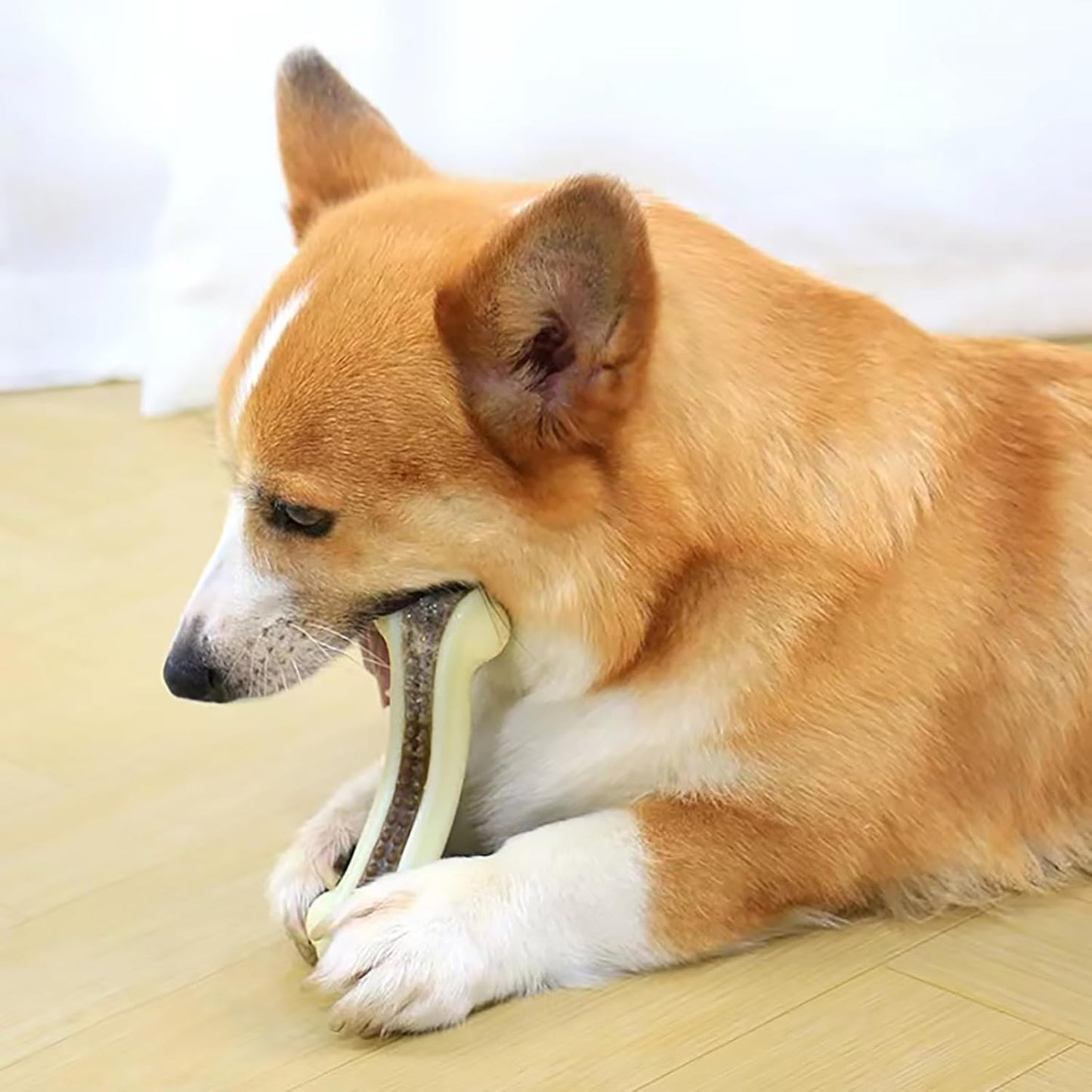 Dog Bones for Aggressive Chewers, 2 Pack Real Beef Flavor Puppy Teething Toys for Medium/Small Breeds, Nylon Durable Dog Chew Toys