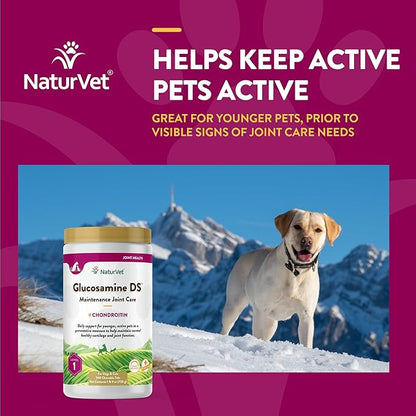 NaturVet – Glucosamine DS - Level 1 Maintenance Care | Preventative Care to Maintain Healthy Cartilage & Joint Function | Enhanced with Glucosamine & Chondroitin | for Dogs & Cats (240 Tablets)
