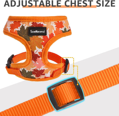 SCENEREAL Fall Dog Harness Collar and Leash Set for Small Dogs, Orange Leaf No Pull Dog Harnesses, Adjustable Step in Pet Vest for Doggie Puppy Cats Walking Outdoor, Chihuahua Yorkie Harness XS