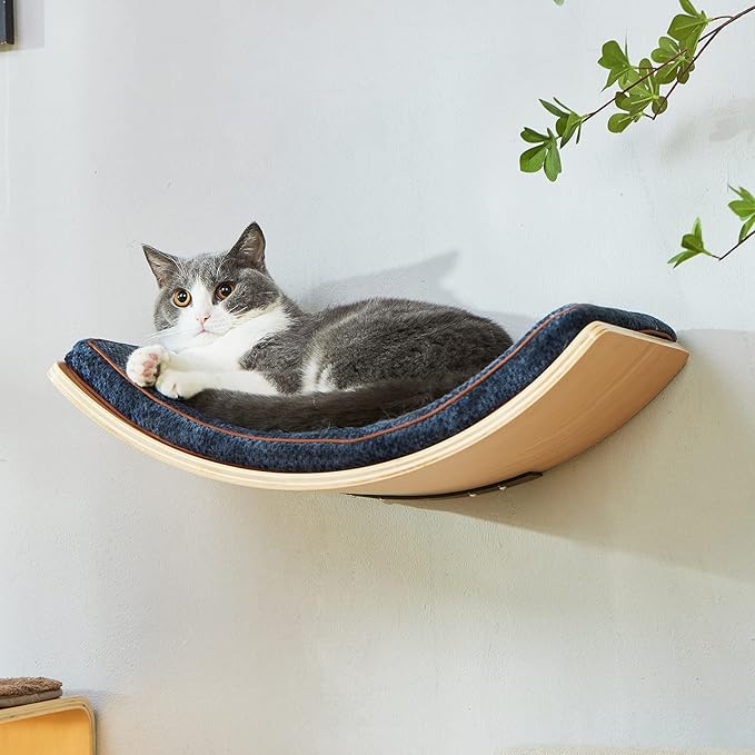 Cat Shelf with Comfortable Cushion - Curved Modern Cat Bed (Large Size) - Lotus Leaf Design Cats Wall Perch - Wall Mounted Cats Furniture for Sleeping, Playing, Climbing, and Lounging