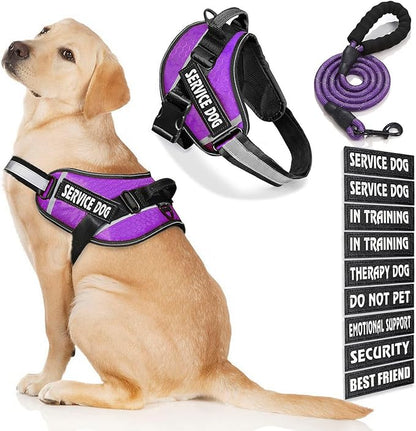 Service Dog Vest, 9 Dog Patches No Pull Dog Harness and Leash Set with Handle,Easy On and Off Pet Vest Harness with Night Safe Reflective Straps for Small Medium Large Breed Dogs