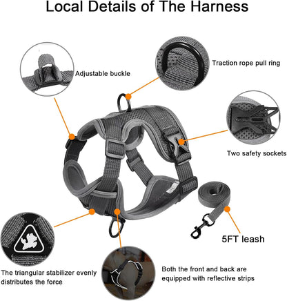 SOLMOONY Small Dog Harness,Soft Mesh Puppy Harness and Leash Set,No Escape Cat Harnesses for Training Walking,Reflective Adjustable Puppy Vest for Small Medium Dogs, Cats (Grey, S)