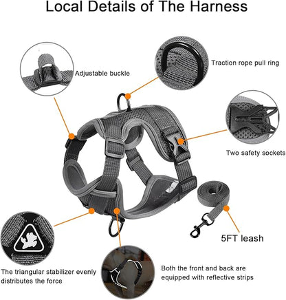 SOLMOONY Small Dog Harness,Soft Mesh Puppy Harness and Leash Set,No Escape Cat Harnesses for Training Walking,Reflective Adjustable Puppy Vest for Small Medium Dogs, Cats (Grey, L)