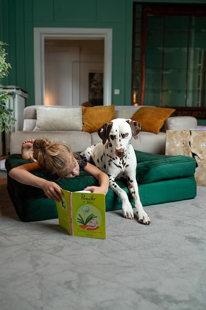 NOAH & PAW XL Dog Bed, 45x35x11 Inch, Orthopedic Large Dog Beds, Eggshell Memory Foam Infused with Cooling Gel, Inner Cover, Waterproof, Machine Washable (Velvet Sofa Collection)