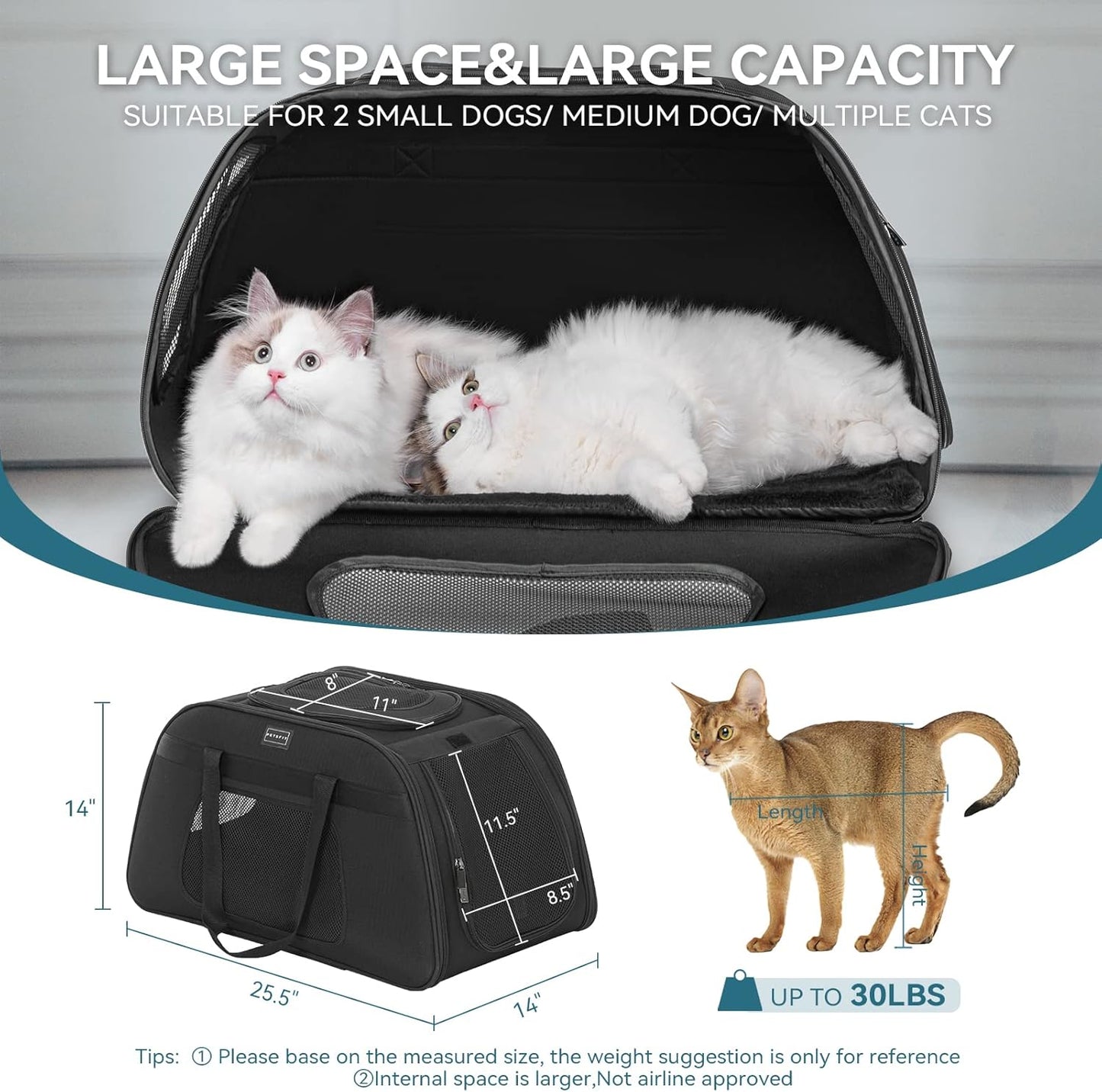 PETSFIT Extra Large Pet Carrier with Wheels- Rolling Dog Carrier for 2 Small Dogs, Large Cat Carrier on Wheels with Adjustable Safety Rope & Waterproof Bottom (𝑵𝒐𝒕 𝑨𝒊𝒓𝒍𝒊𝒏𝒆 𝑨𝒑𝒑𝒓𝒐𝒗𝒆𝒅)