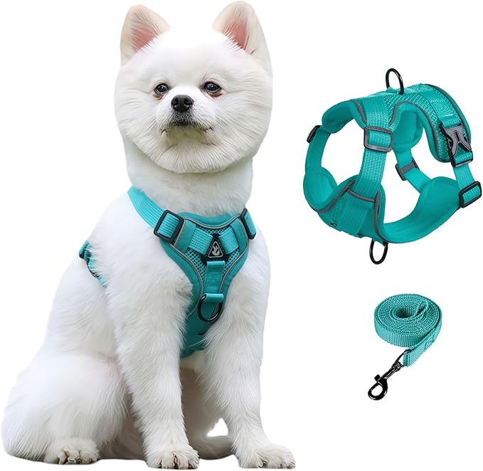 SOLMOONY Small Dog Harness,Soft Mesh Puppy Harness and Leash Set,No Escape Cat Harnesses for Training Walking,Reflective Adjustable Puppy Vest for Small Medium Dogs, Cats (Turquoise, M)