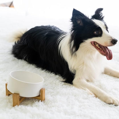 SPUNKYJUNKY 15° Slanted Ceramic Dog and Cat Bowl with Wooden Stand, Tilted Bulldog Food and Water Bowl No Slip Non-Spill for Cats Medium Dogs Big Face Pets 28.7 OZ (3.6 Cups, White)