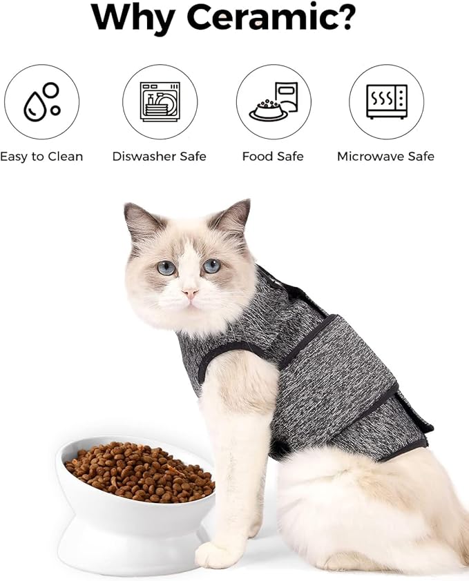 LoeJan Elevated Cat Food Bowl, 5 Oz Ceramic Raised and Tilted Water Bowl, Anti Vomiting and Protect Pets' Spines Dishes for Small Dog, Fat Faced Cat, Kitten (White, 10 OZ)