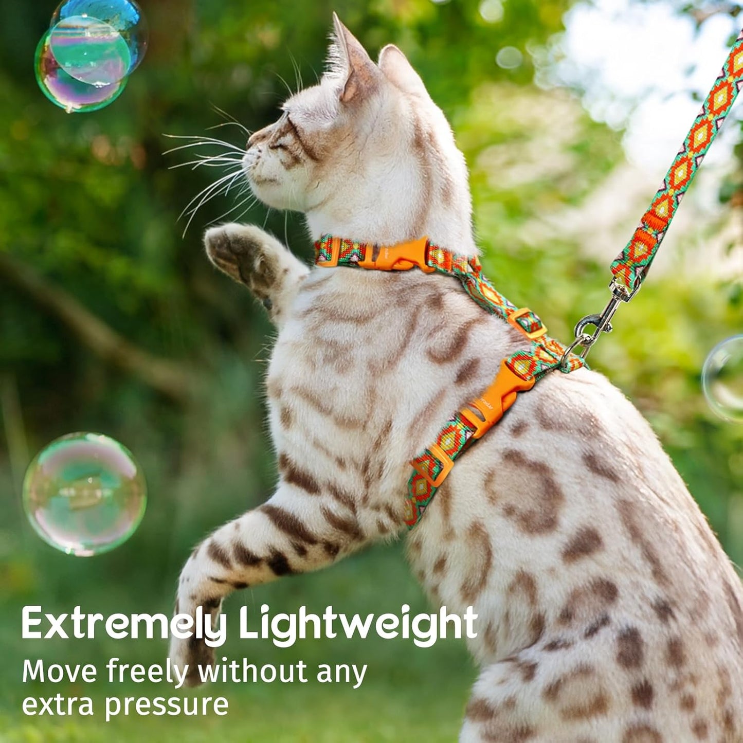 Dooradar Cat Harness and Leash, Escape Proof Adjustable Kitten Vest, Lightweight Soft Pet Straps, Easy Wearing for Small Medium Kitty Safe Walking Travel Control, Multicolor, S