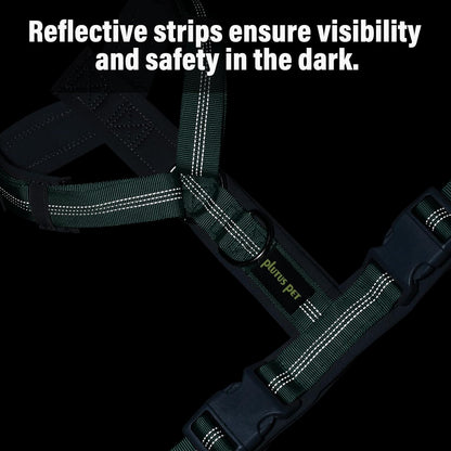 Plutus Pet No Pull Dog Harness, Adjustable Nylon Harness with Soft Padding, Reflective and Heavy Duty Dog Harness for Small, Medium, Large Dogs(Teal, L)