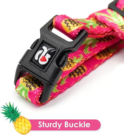 azuza Cat Harness and Leash Set, Escape Proof Adjustable Kitten Vest for Walking and Travel, Soft Lightweight Cat Carrier Harness for Small to Large Cats, Pineapple Design