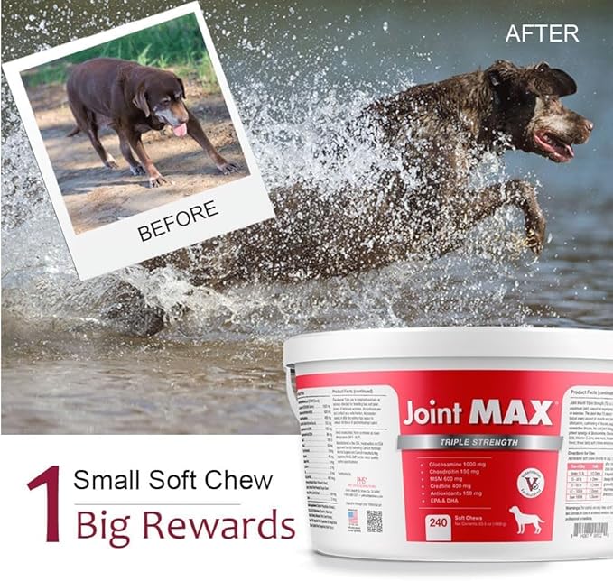 TS Joint Supplement Vet Formulated Pain & Inflammation Relief Treats Hip Dysplasia & Arthritis.Glucosamine, Chondroitin, Turmeric, MSM, HA, Creatine, Omega 3 EPA+DHA. All Dogs 240 Soft Chews