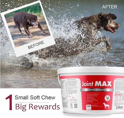 TS Joint Supplement Vet Formulated Pain & Inflammation Relief Treats Hip Dysplasia & Arthritis.Glucosamine, Chondroitin, Turmeric, MSM, HA, Creatine, Omega 3 EPA+DHA. All Dogs 240 Soft Chews