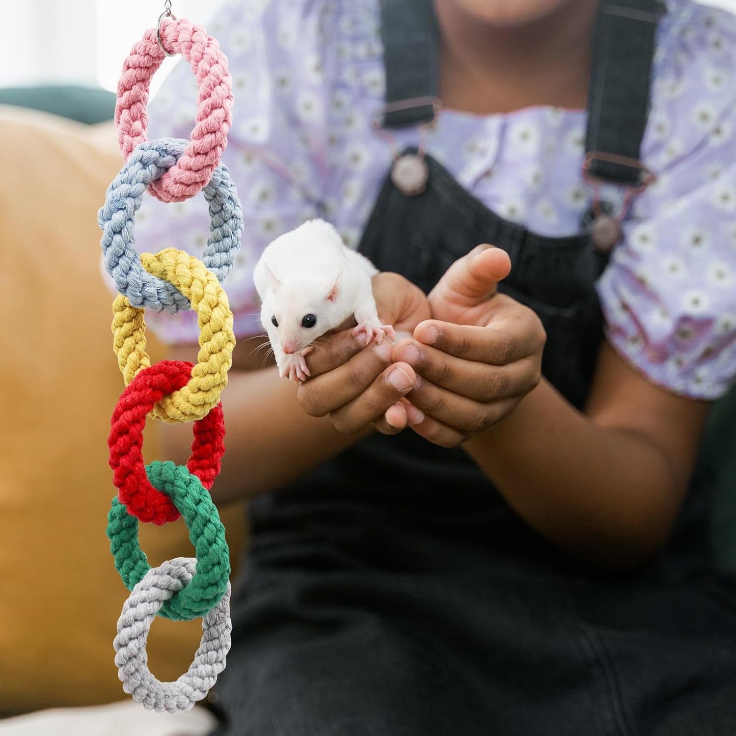 Sugar Glider Hanging Toy - Colorful 6-Ring Climbing & Swing Set for Cages, Cage Accessories for Small Animals Birds Parrots Parakeets Cockatiels Ferrets Hamsters Rats