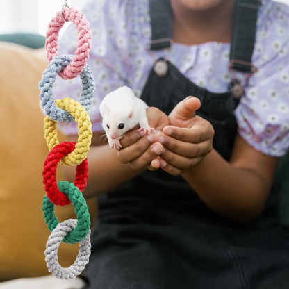Sugar Glider Hanging Toy - Colorful 6-Ring Climbing & Swing Set for Cages, Cage Accessories for Small Animals Birds Parrots Parakeets Cockatiels Ferrets Hamsters Rats