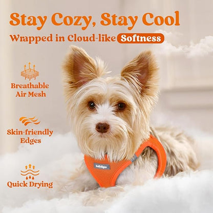 rabbitgoo Small Dog Harness, Step-in Soft Mesh Puppy Vest with Safety Buckle, Breathable Reflective Pet Harness for Large Dogs, Orange XXL