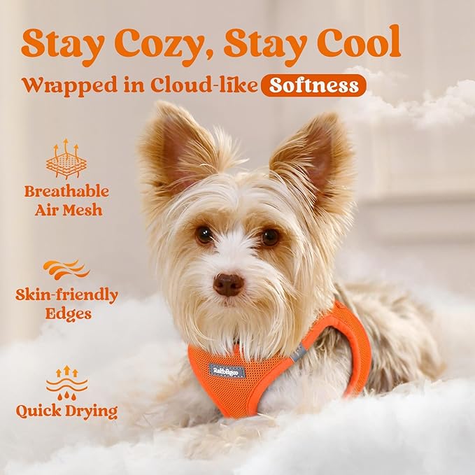 rabbitgoo Small Dog Harness, Step-in Soft Mesh Puppy Vest with Safety Buckle, Breathable Reflective Pet Harness for Small Medium Dogs, Orange XL
