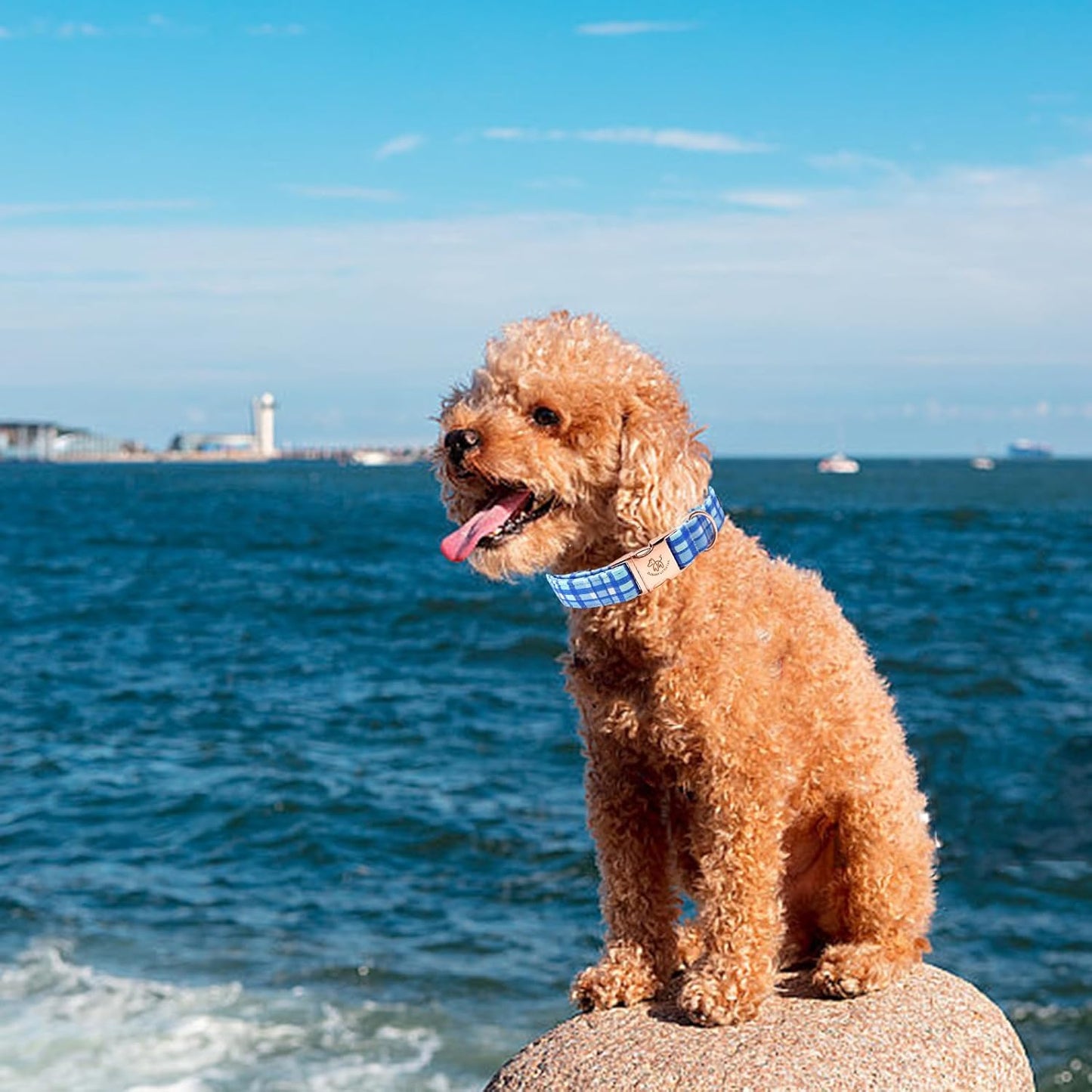 Elegant little tail Dog Collar, Blue Plaid Pattern Pet Collar Durable Cute Dog Collars Male or Female Pet Gift Adjustable Dog Collar for Large Dogs