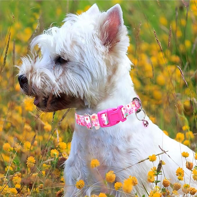 Pink Flower Puppy Collar with Bell, Pretty Cute Floral Girl Dog Collar Tiny Kitten Collars with Bells for XS Small Pet Female Dogs Cat Little Animal, XSmall