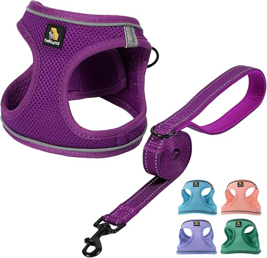 BELLA & PAL Step in Vest Harness for Small and Medium Dogs, No Pull Small Dog Harness with Leash Set, Comfortable Air Mesh Dog Vest Harness with Reflective Strip (Grape Purple, XS)