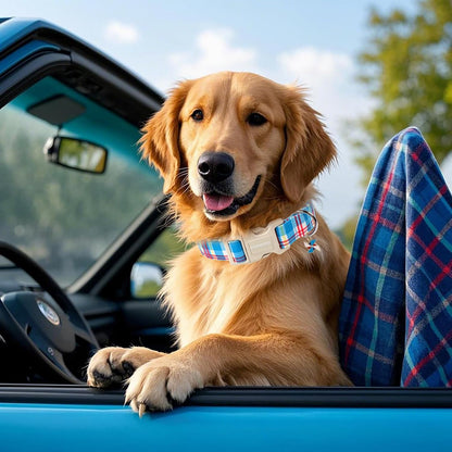 DOGWONG Blue Plaid Dog Collar- Cute Checkered Dog Collars Adjustable Designer Blue Puppy Dog Collar for Small Medium Large Dogs M