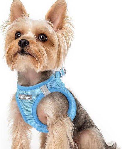 rabbitgoo Small Dog Harness, Step-in Soft Mesh Puppy Vest with Safety Buckle, Breathable Reflective Pet Harness for Small Sized Dogs, Blue XS