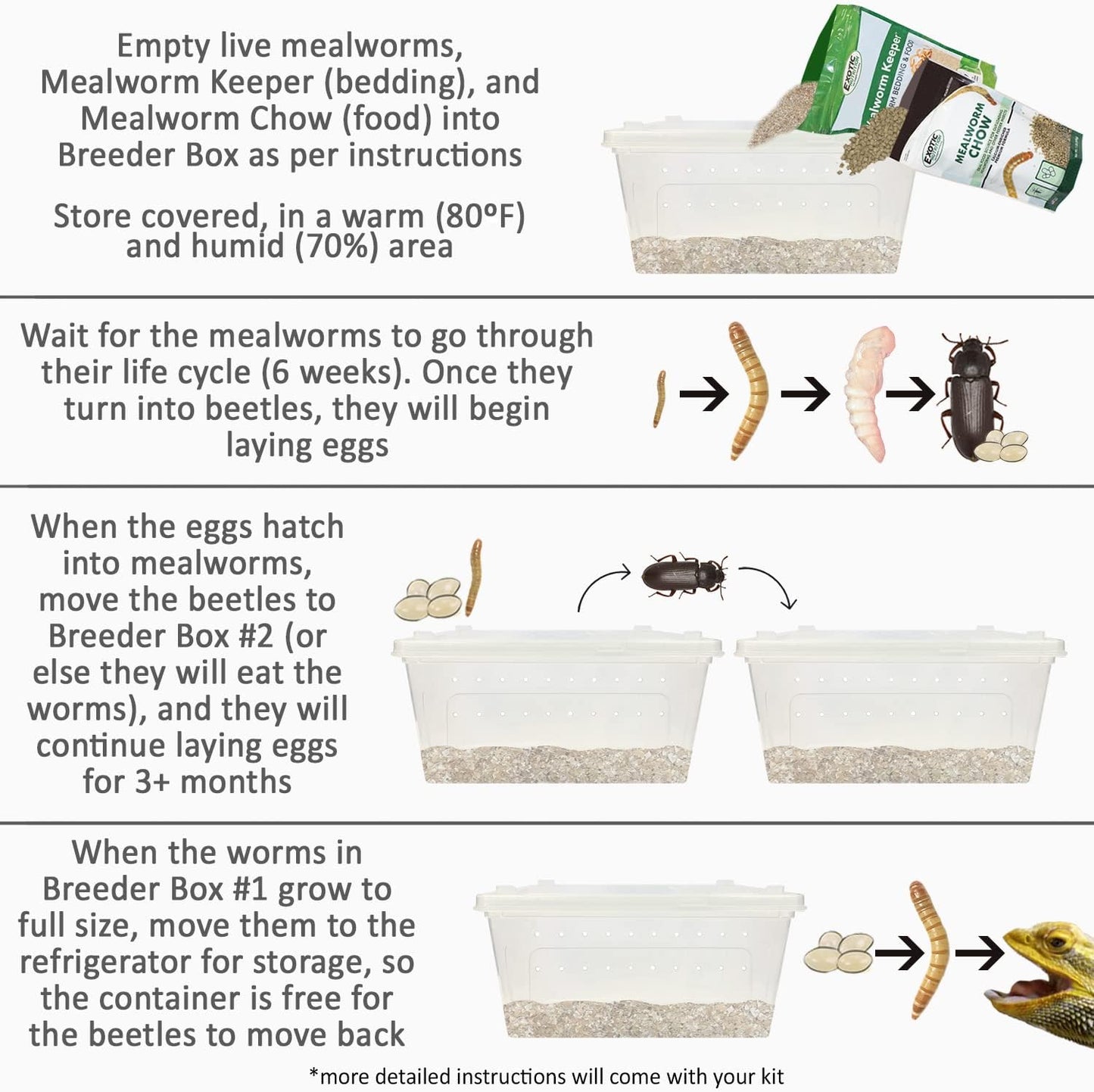 Mealworm Breeder Kit (Expanded) - Breed Live Feeder Worms for Hedgehogs, Sugar Gliders, Reptiles, Wild Birds, Chickens, Lizards, Bearded Dragon, Skunks, Opossum, Fish, Turtles, Tortoises, Geckos