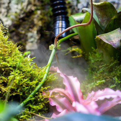 REPTI ZOO 4L Reptile Fogger Mister Tank, Terrariums Digital Tank Timing Humidifier Smart Touch Screen Adjustable Fogger for Reptiles Amphibians Herps