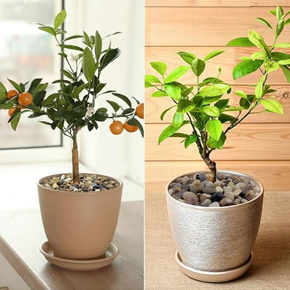 40LB Decorative River Rocks Gravel - 2/5" Mixed Color Gravel for Vase Filling, Flower Pot Paving. Gravel for Garden Decoration,Landscaping,Aquarium Aquascape Gravel, Fish Tanks Gravel(8-12MM)