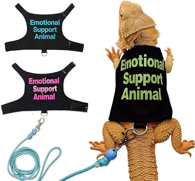 Bearded Dragon Lizards Clothes with Leash Set - Cute Lizard Reptile Small Animal Adjustable Harness Clothes for Walking Outdoor Security Costume Photo Prop(Green