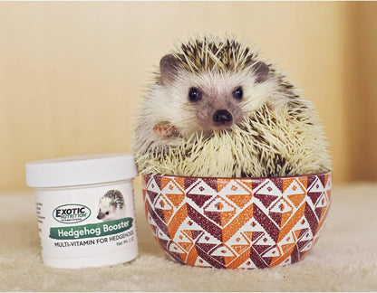 Hedgehog Booster - Complete Multivitamin - Powdered Vitamin & Mineral Supplement for Pet Hedgehogs (2 oz.)