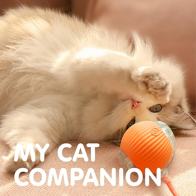 Rocfish Durable Interactive Cat Toys for Indoor Cats, Smart Automatic Cat Chase Ball Toy, Upgraded Speedy Tail Kitten Toy for Bored Indoor Adult Pets (Orange)
