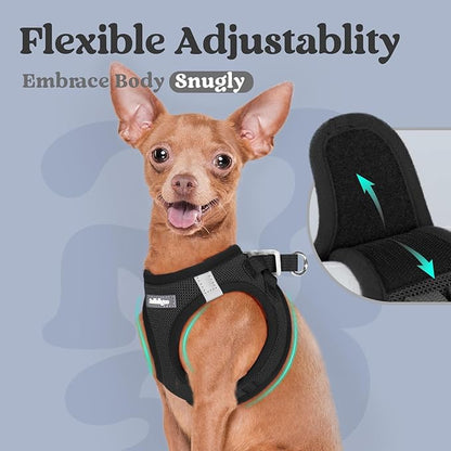 rabbitgoo Small Dog Harness, Step-in Soft Mesh Puppy Vest with Safety Buckle, Breathable Reflective Pet Harness for Small Medium Dogs, Black L