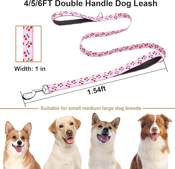 5ft Dog Leash with Two Padded Handles, Heavy Duty Strong Nylon Pet Leash with Soft Neoprene Handle for Small Medium Large Dogs, Cherry