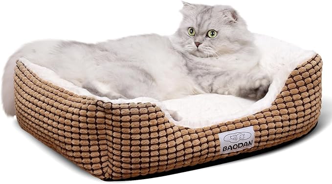 Small Dog Bed for Small Dogs, Cat Beds for Indoor Cats Washable, Rectangle Dog Bed, Warming Soft Calming Sleeping Puppy Bed Durable Pet Bed with Anti-Slip Bottom (20 inch, Coffee)
