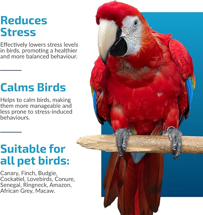 Calming Support for Large Parrots, Bird Calming Capsule, Soothes Plucking, Biting, & Screaming, Promotes Healthy Mood & Balanced Behavior - Natural & Safe for Bird 12.5oz or More 30 Capsule