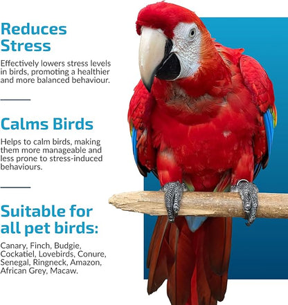 Calming Support for Large Parrots, Bird Calming Capsule, Soothes Plucking, Biting, & Screaming, Promotes Healthy Mood & Balanced Behavior - Natural & Safe for Bird 12.5oz or More 30 Capsule