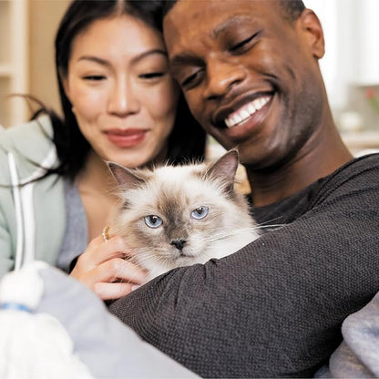 IAMS Proactive Health Adult Healthy Dry Cat Food with Chicken, 3.5 lb. Bag