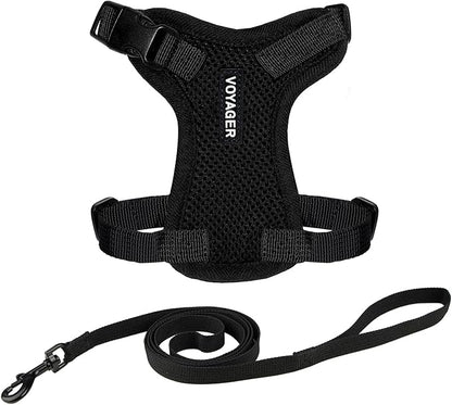 Voyager Step-in Lock Adjustable Cat Harness w. Cat Leash Combo Set with Neoprene Handle 5ft - Supports Small, Medium and Large Breed Cats by Best Pet Supplies - Black, XXS