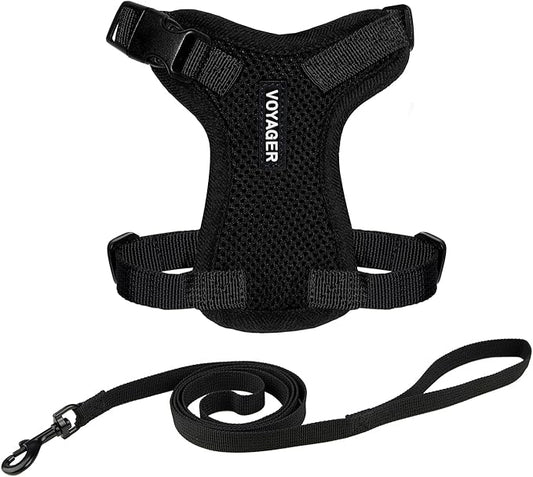 Voyager Step-in Lock Adjustable Cat Harness w. Cat Leash Combo Set with Neoprene Handle 5ft - Supports Small, Medium and Large Breed Cats by Best Pet Supplies - Black, XXS