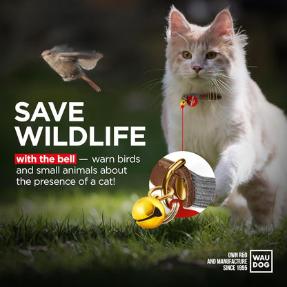 WAUDOG Ultra Soft Rolled Leather Cat Collar with Removable Bell, Safety Elastic Strap and QR ID Tag - Soft Padded for Small, Medium, and Large Cats - Round Kitten Collar for Male and Female Cats