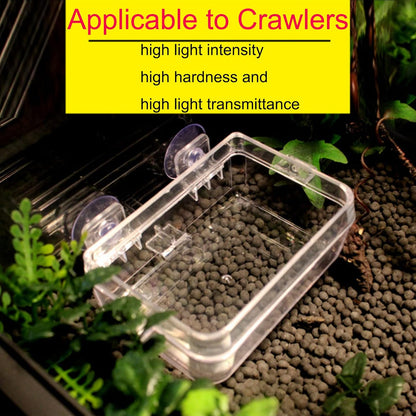 Tfwadmx 2 Pcs Chameleon Bowl, Reptile Feeding Food, Water Dish Gecko Worm Feeder Anti-Escape Chameleon Supplies Accessories for Lizard Bearded Dragon Snakes