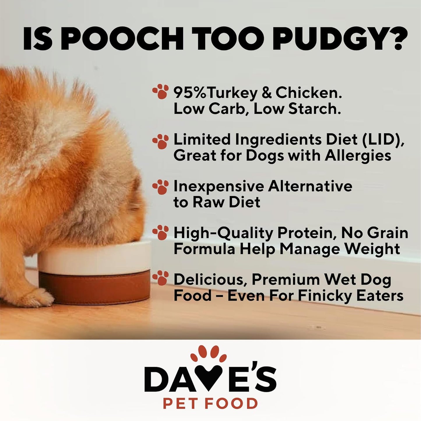 Dave's Pet Food Limited Ingredient Dog Food (95% Turkey & Chicken), Made in USA Grain Free Wet Canned Meals, Large & Small Breeds, 12.5 oz Cans (12 Pack)