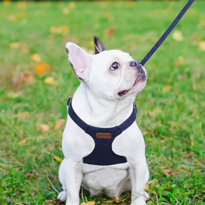 Denim Blue XXS No Pull Adjustable Puppy Harness Set with Multifunction Leash and Collar, Soft No Choke Escape Proof Pet Harness Vest for Small Dogs and Cats