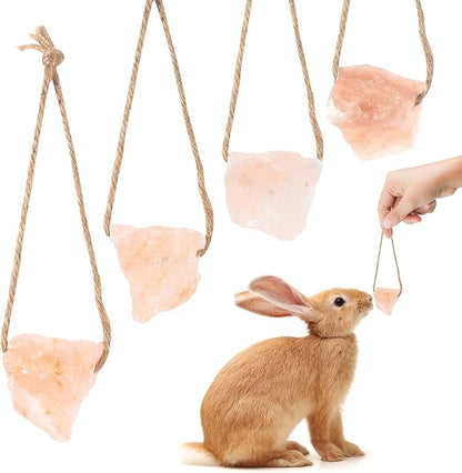 4 Pack Himalayan Small Pets Lick Salt Block on Rope- Natural Small Animal Mineral Salt Chew Toys with Rope, Small Pet Chew Treat Supplies for Guinea Pig Rabbits Bunny Ferrets
