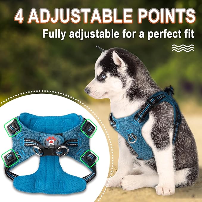BARKBAY Dog Harness, Reflective Adjustable Step-in Vest Harness, Blue/Black, XXS