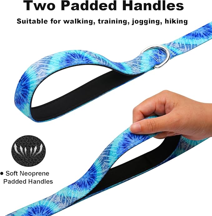 6 Foot Dog Leash for Medium Large Dogs, Heavy Duty Blue Dog Leash with 2 Padded Handles, Walking Training Lead for Medium and Large Dogs, Tie Dye